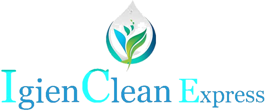 IgienCleanExpress Swiss Professional Hygiene